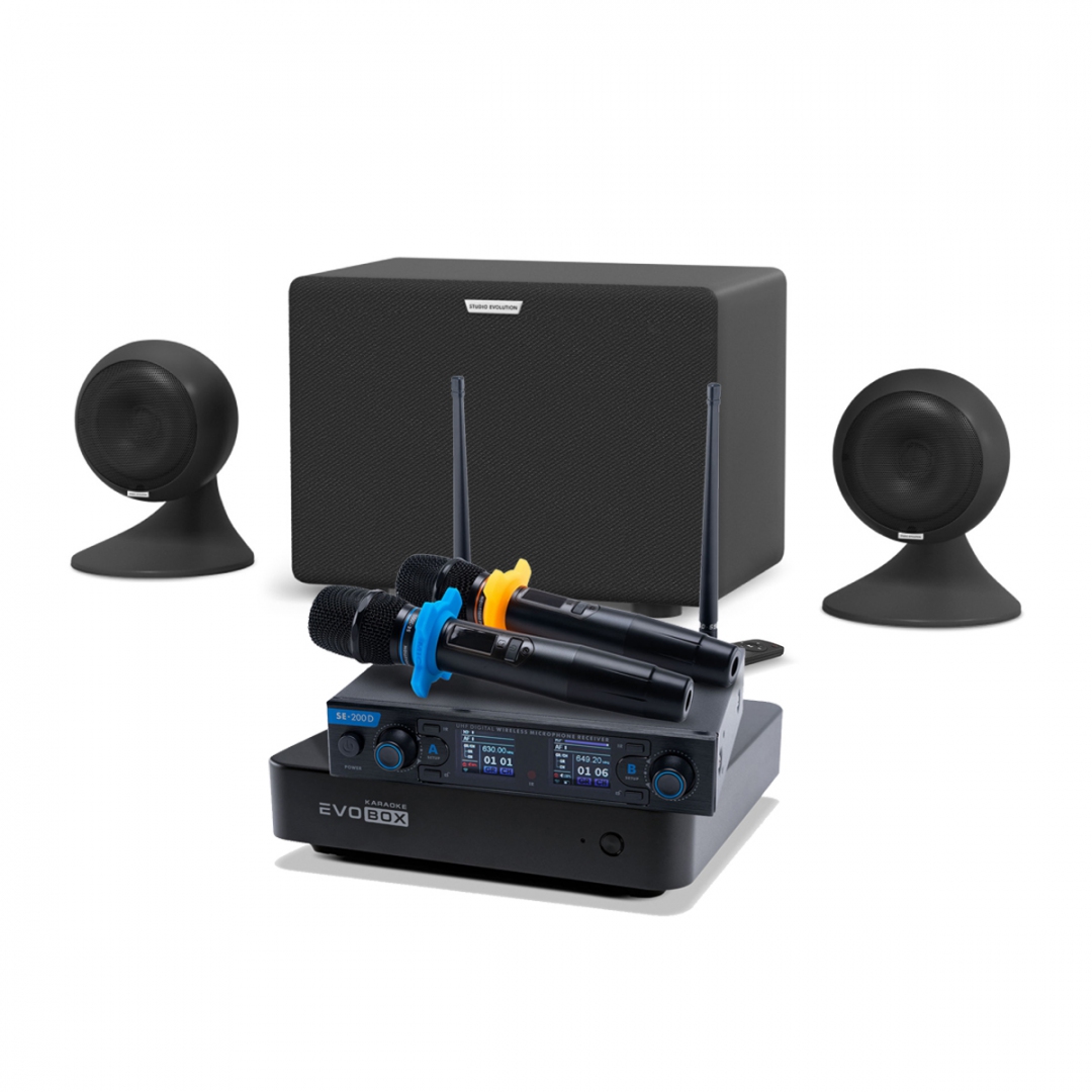 караоке-комплект EVOBOX + EvoSound Sphere 2.1 в Ставропольском крае