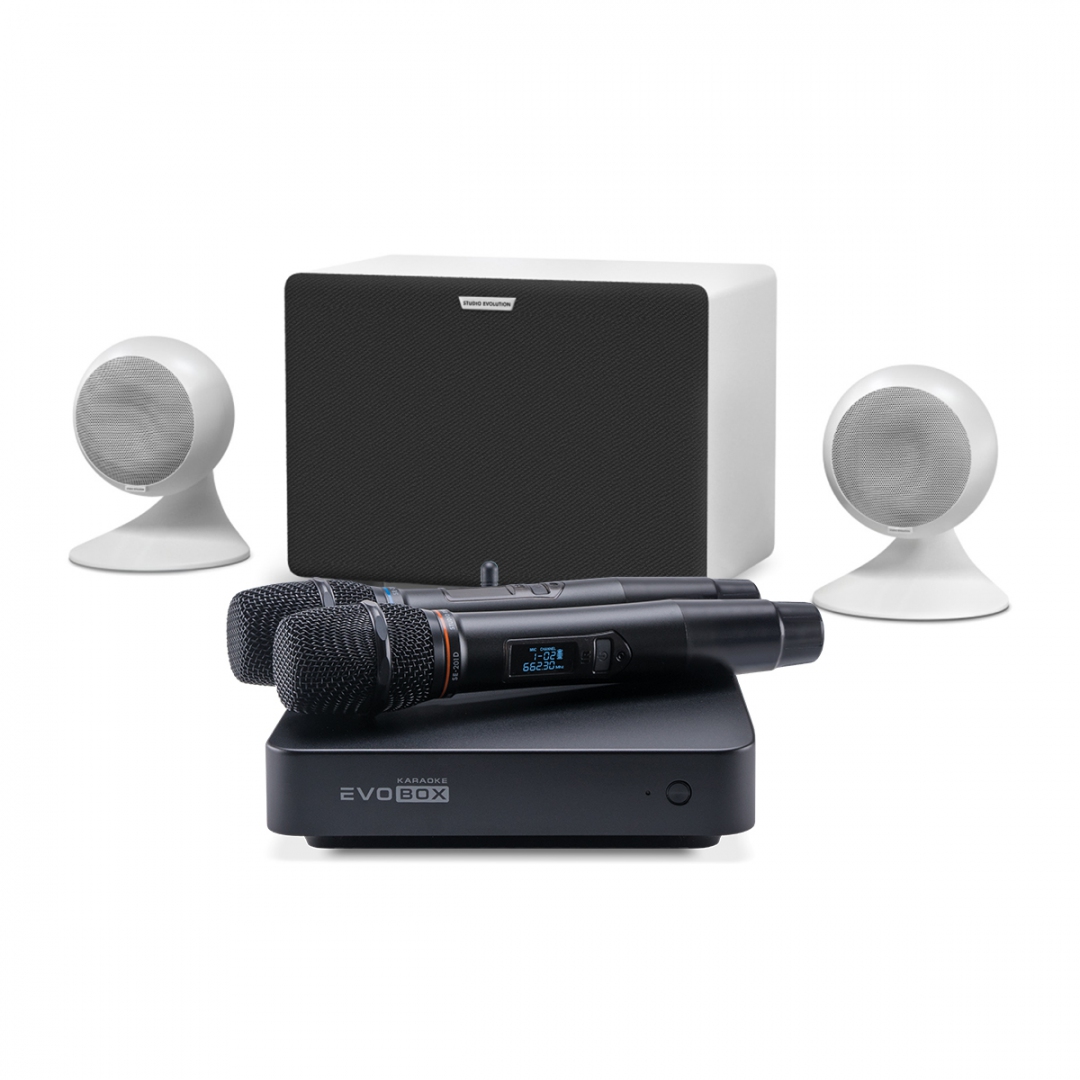 караоке-комплект EVOBOX Classic + EvoSound Sphere 2.1 в Ставропольском крае