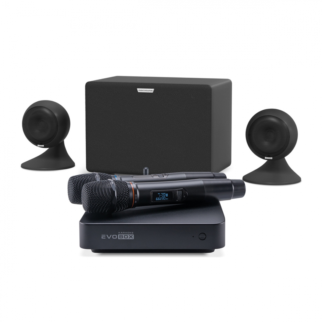 караоке-комплект EVOBOX Plus + EvoSound Sphere 2.1 в Ставропольском крае