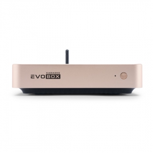 EVOBOX Plus караоке-система для дома в Ставропольском крае