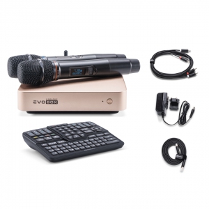 EVOBOX Plus караоке-система для дома в Ставропольском крае